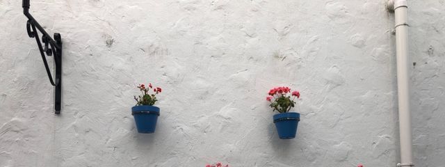 彰さんの壁紙画像