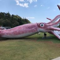 彰さんのアイコン画像