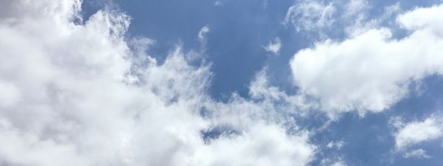 マウさんの壁紙画像
