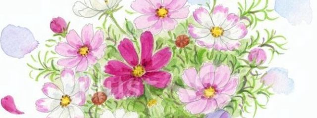 みりあ♡さんの壁紙画像