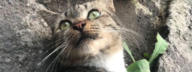 ろんす。💗🌸🍑🍒✨さんの壁紙画像