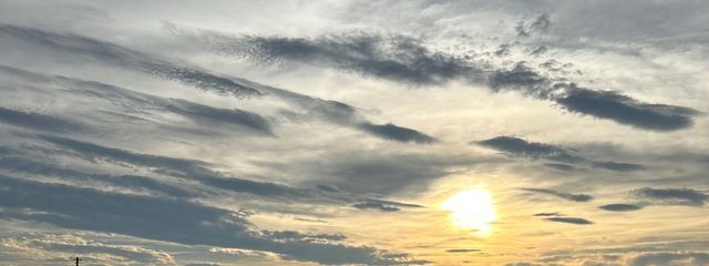 きなこもち🌻🕊さんの壁紙画像