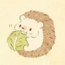 主