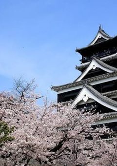 乱世の華 ～女忍者の物語～
