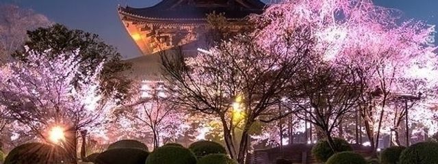 深雪さんの壁紙画像