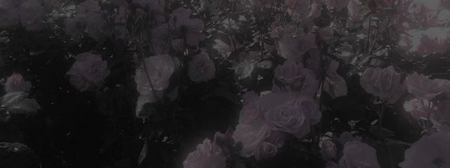 白瀧 芽依 @ 超低浮さんの壁紙画像