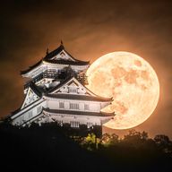 Aichan さんのアイコン画像