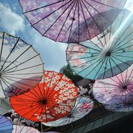 わん🐶さんのアイコン画像