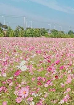 振ったくせに