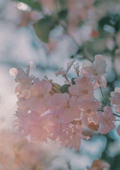 ずっとずっと愛してる