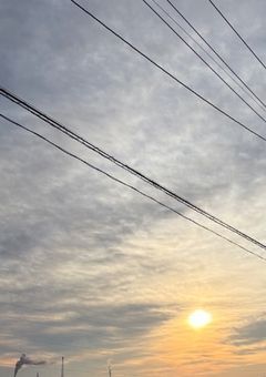 雑談部屋じゃない何か5