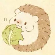 hikariさんのアイコン画像