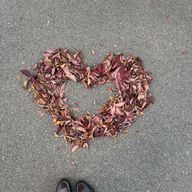 ぱすてるからーのせんべい‬  はいぱー低浮上なう🪄さんのアイコン画像