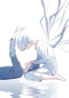 【mfsr】夜桜と四季折々。