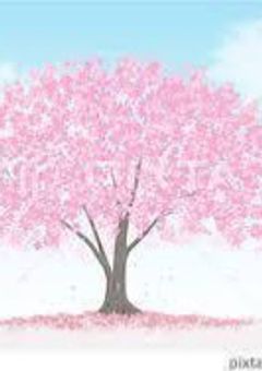 桜と甘いチョコレートのおまじない