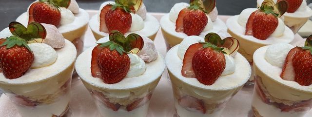 miu💛岩本照､佐野勇斗さんの壁紙画像