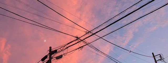 ✟✞風杏🐱🎮#フォロバ100さんの壁紙画像