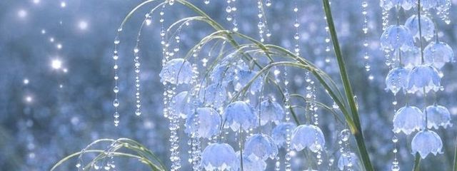 しずねさんの壁紙画像