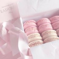 ぺんぎんさんのアイコン画像