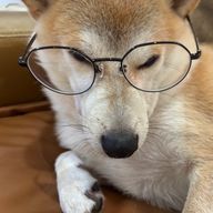 にいなさんのアイコン画像