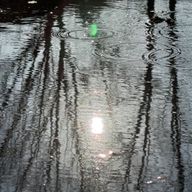 葵🖤🎭🇯🇵さんのアイコン画像