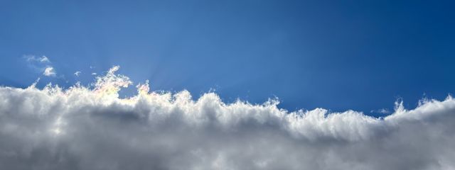 Kokoさんの壁紙画像