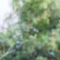 なちさんのアイコン画像