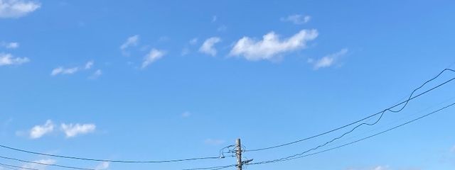 Miruさんの壁紙画像