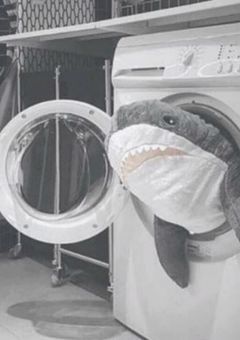 ▷ 𝚃𝚊𝚐 .ᐟ.ᐟ