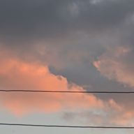 petunia さんのアイコン画像