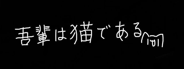 電ゐぬさんの壁紙画像
