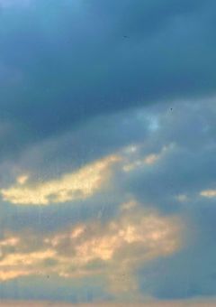 嘘がつけなくなるボタン、手にいれました。