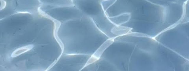 きくらげさんの壁紙画像