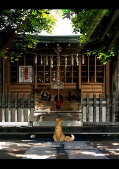 妖怪学校に勧誘という名の連行されました