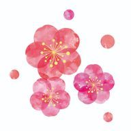 梅の花。@あと1年で高校卒業ですか……さんのアイコン画像