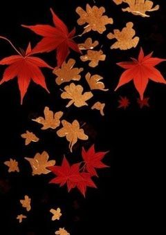 四 年 の 体 力 "零" 生 徒