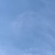 あみさんのアイコン画像