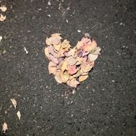 oto🫶さんのアイコン画像