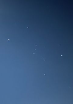 貴方の命を、私にください。