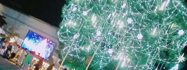 HiNaTaさんの壁紙画像