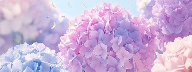 @m1lk. さんの壁紙画像