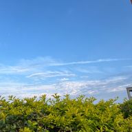 もちづきさんのアイコン画像