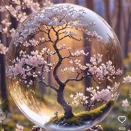 若松涼さんのアイコン画像