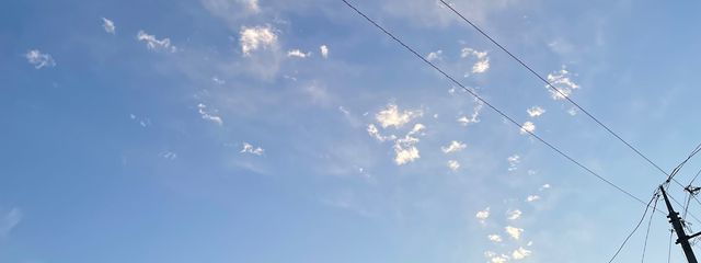 紅しょうがちゃん愛してる☁️🩶🌃さんの壁紙画像