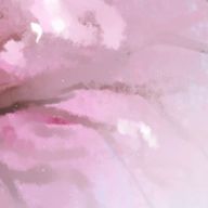 .paletteさんのアイコン画像