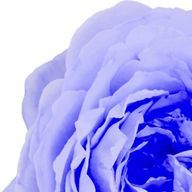 えるさんのアイコン画像