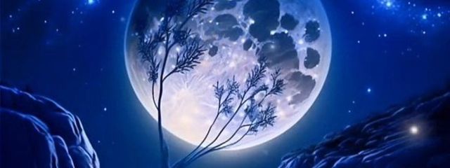 月夜さんの壁紙画像