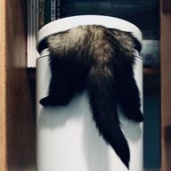 涼篠さんのアイコン画像