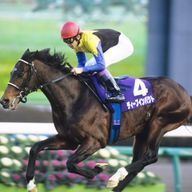 Deep Impactさんのアイコン画像