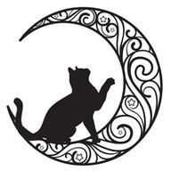 紫雨さんのアイコン画像